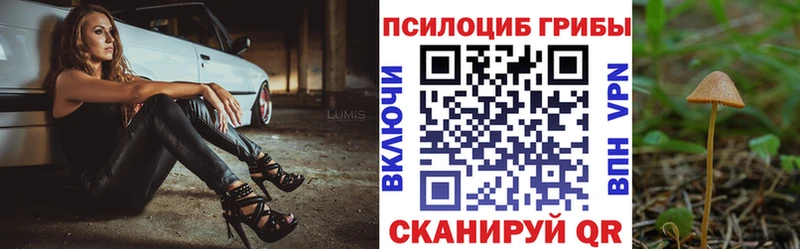 Псилоцибиновые грибы MAGIC MUSHROOMS это Telegram Шацк